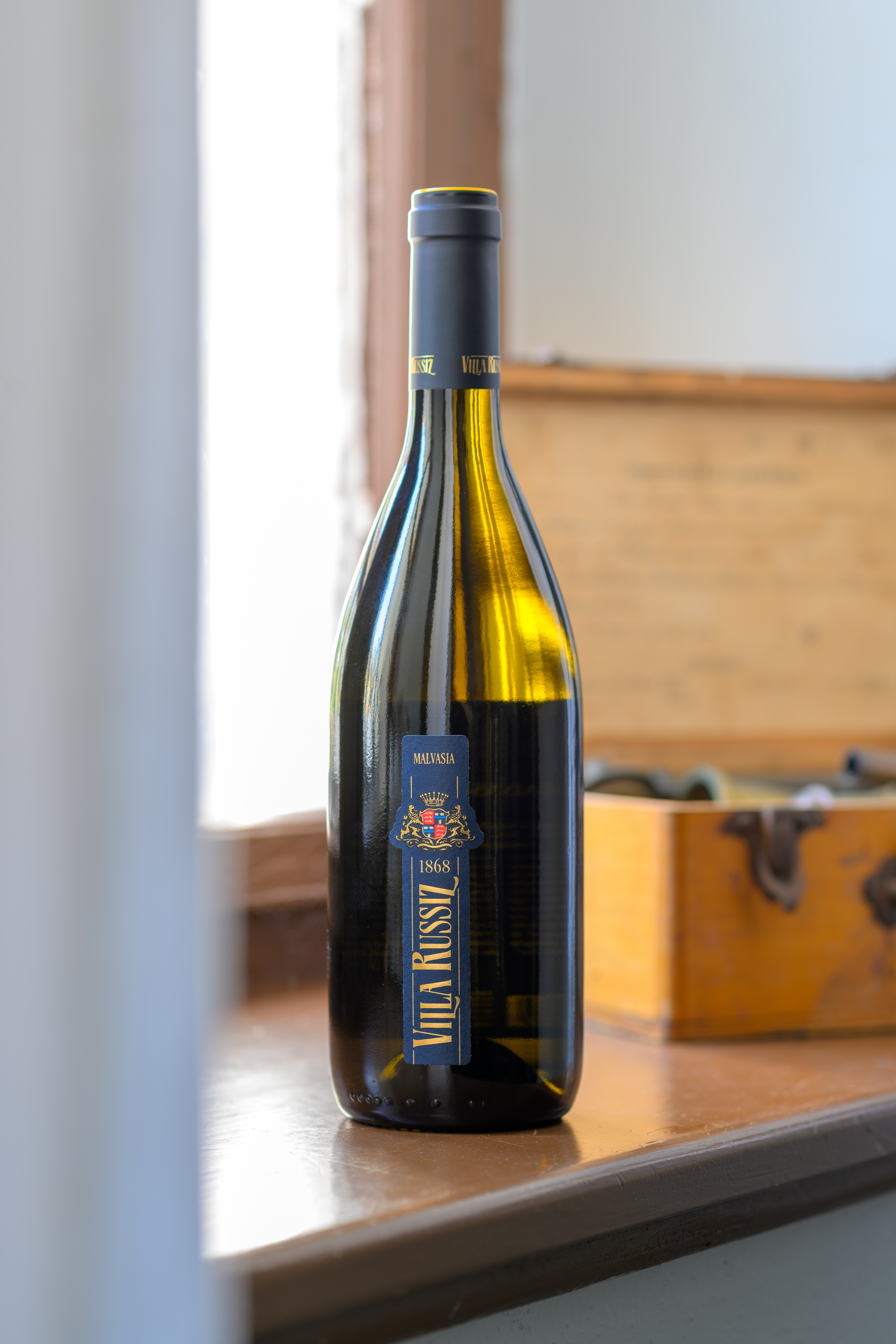 Malvasia